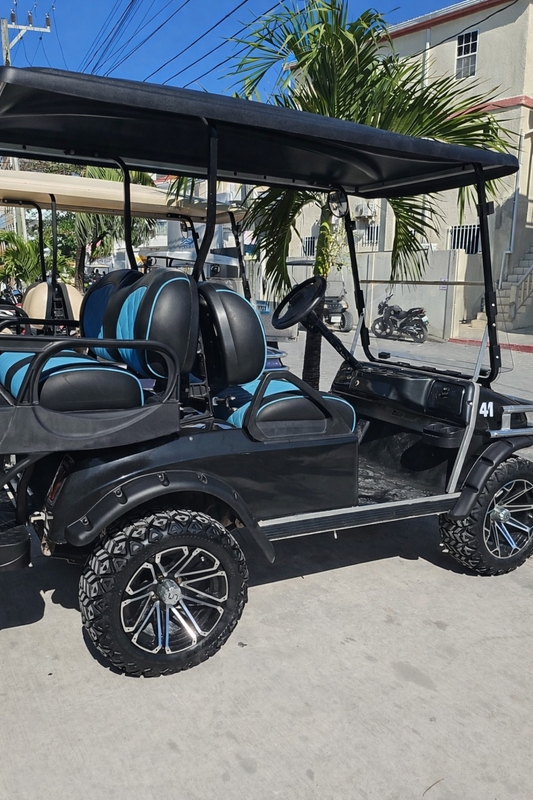 Gas Golf Cart - Daily Rental